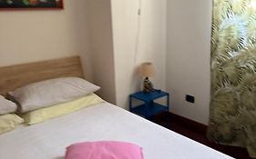 Bibihouse